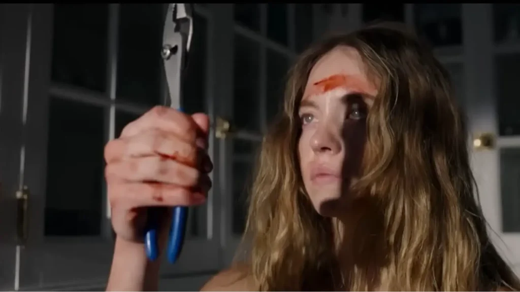The Housemaid Recenzija – Netflix Triler Koji Se Ne Zaboravlja